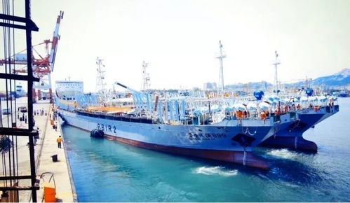 扬帆远洋 掘金 蓝海 荣成40年海洋经济发展之捕捞篇